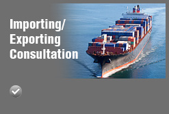Importing/Exporting Consultation